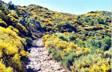 Aucun chemin